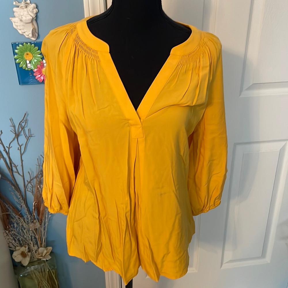 Gold crown and ivy v neck top